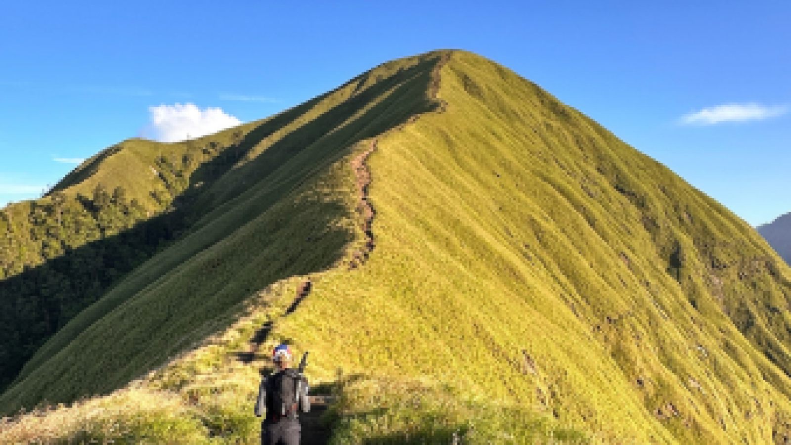 5. ANAK DARA 338 x 325