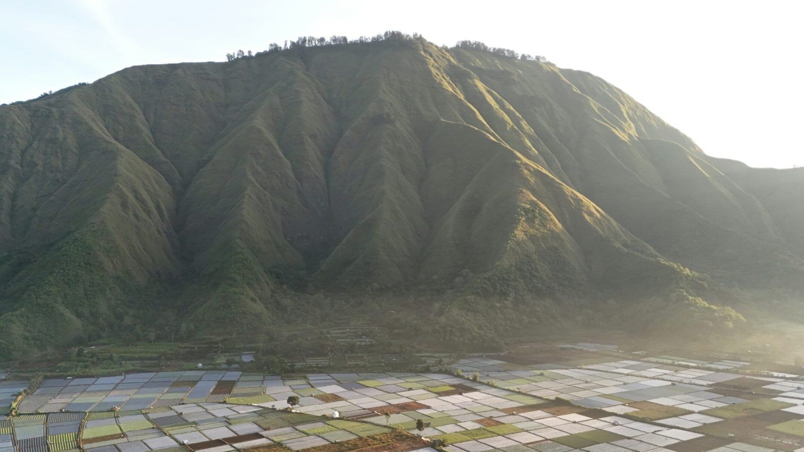 arya-krisdyantara--fIF_vcJyaE-unsplash